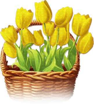 soave deco spring flowers tulips basket - 無料png