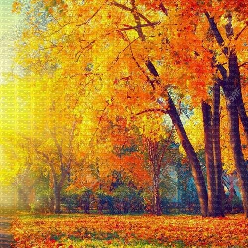 autumn background - gratis png