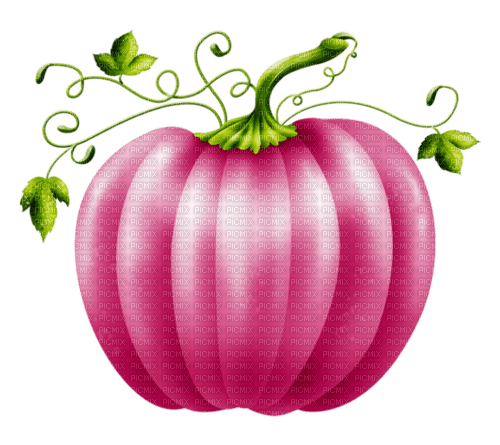 pink pumpkin Bb2 - 免费PNG
