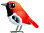 birds katrin - Безплатен анимиран GIF