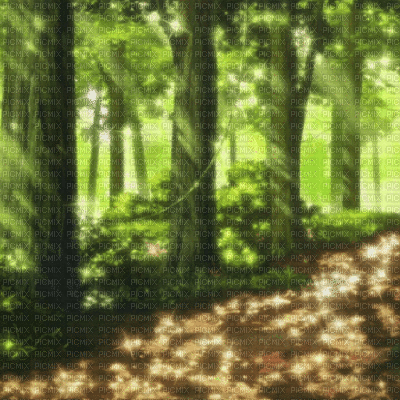 Forest Background - Animovaný GIF zadarmo