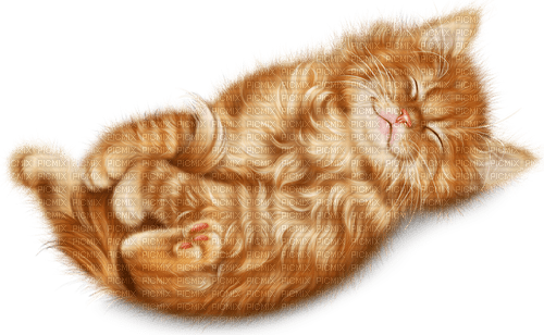 Кот спит Карина - Free PNG