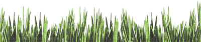 green grass - zdarma png