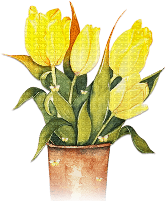 soave deco vase flowers tulips garden spring - zadarmo png