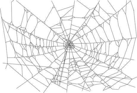 Spiderweb - besplatni png