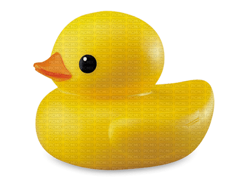 ducky - Free PNG