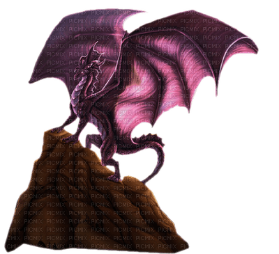 dragon - png grátis