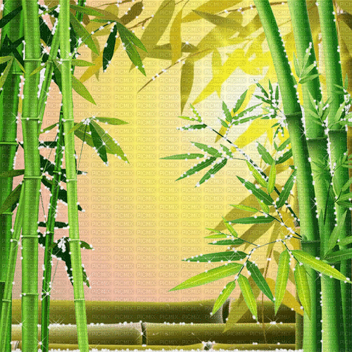 bambus milla1959 - GIF animado grátis