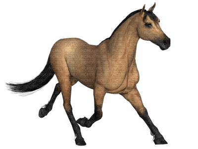 horse cheval - bezmaksas png