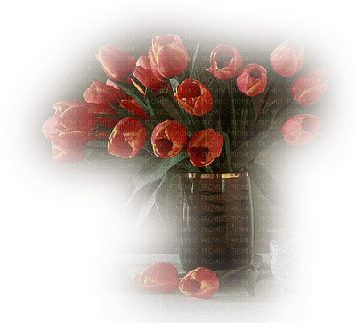 patymirabelle fleurs tulipes - безплатен png