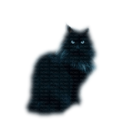 Chat noir - Free PNG