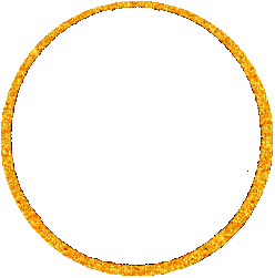 gold oval frame - GIF animé gratuit