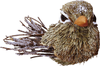 Kaz_Creations Deco  Bird Winter - png gratis