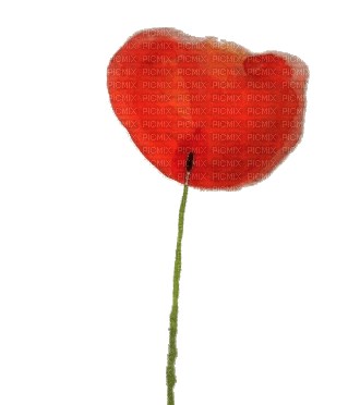 Remembrance War - Gratis geanimeerde GIF