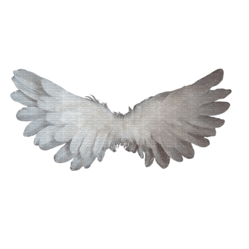 angel wings - png gratuito