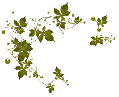 minou-deco-green-leaves- - PNG gratuit