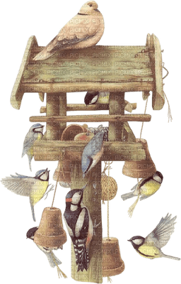 birdhouse - png ฟรี