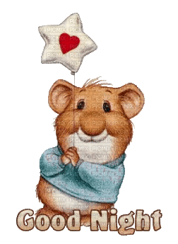 Good Night.Mouse.hamster.gif.Victoriabea - Darmowy animowany GIF