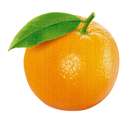 оранж, Карина - безплатен png