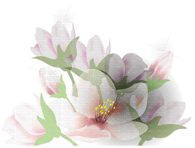 Kaz_Creations Deco Flowers - nemokama png