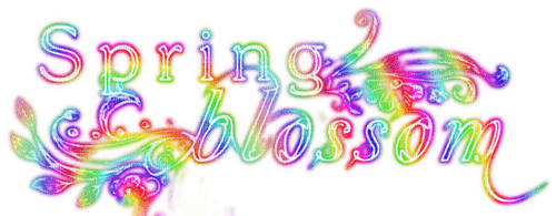 Spring Blossom.Text.Rainbow - PNG gratuit