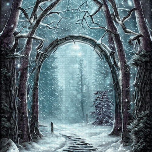 kikkapink winter fantasy background forest - kostenlos png