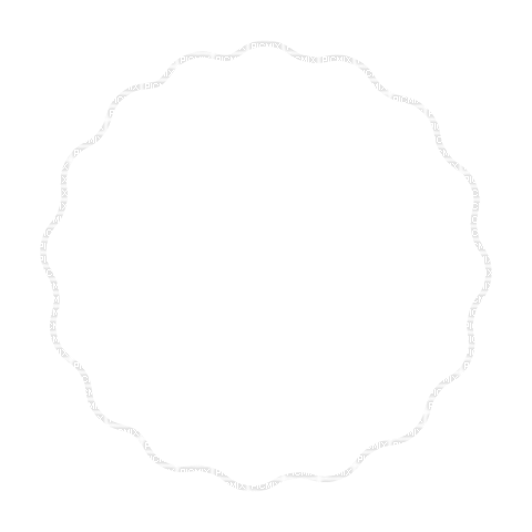 oval white frame - kostenlos png