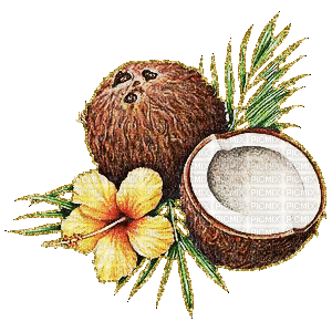 noix de coco - Nemokamas animacinis gif