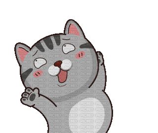 Happy Cat - GIF animado gratis