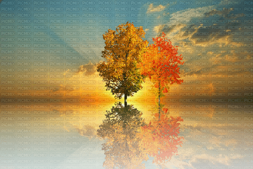 fall autumn leaf leaves feuille landscape - 免费PNG