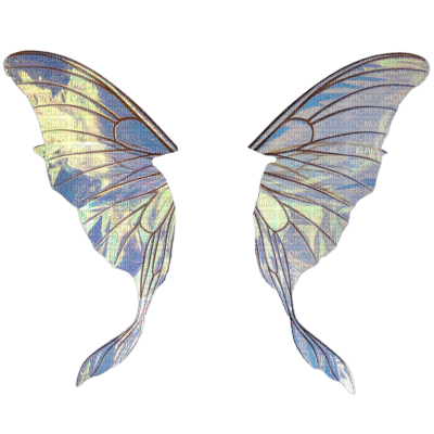 Fairy Wings - png ฟรี