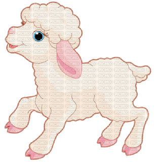 mouton - darmowe png