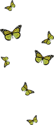Kaz_Creations Deco Butterflies Colours - 免费PNG