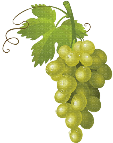 grapes   Bb2 - ingyenes png