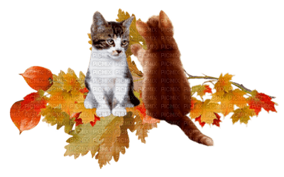 Kaz_Creations Autumn Deco Cats Kittens Kitten - 無料png