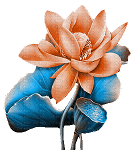 soave deco  animated   lilies blue orange - GIF animé gratuit