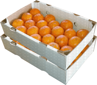 fruit oranges bp - kostenlos png