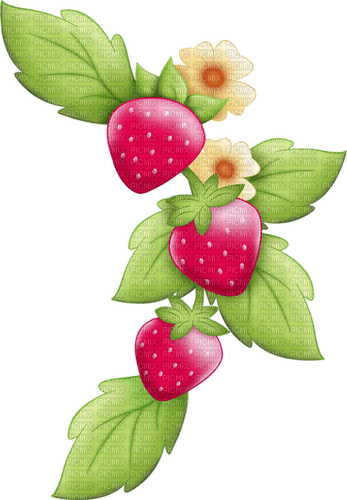 Strawberry Red Green Yellow Charlotte -  Bogusia - zdarma png