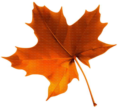 autumn Bb2 - 免费PNG