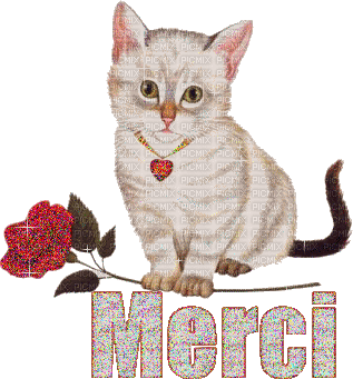 merci chat - Darmowy animowany GIF