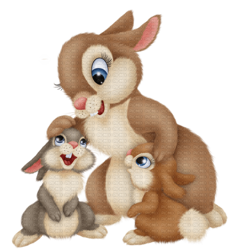 kaniner----rabbits - бесплатно png