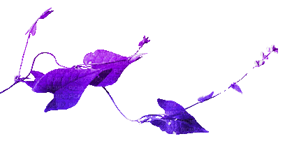 soave deco animated autumn branch liaves purple - Nemokamas animacinis gif