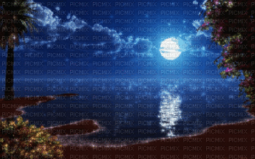 moonlight - Бесплатный анимированный гифка
