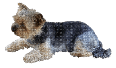 Tiere,Hund - Free PNG