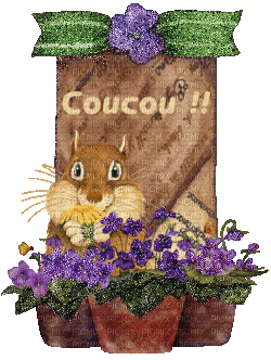 coucou - Бесплатный анимированный гифка