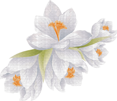 Kaz_Creations Deco Flowers Flower White - Free PNG