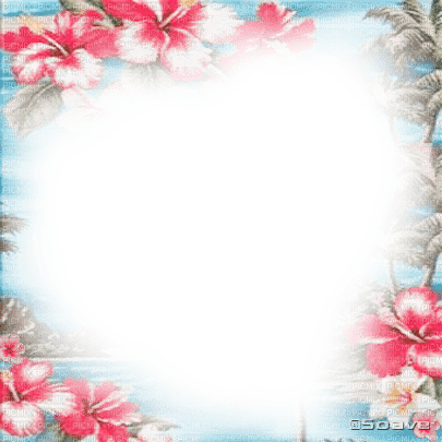 soave frame summer flowers tropical pink blue - Free PNG