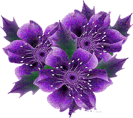 Kaz_Creations Purple Flowers - Бесплатный анимированный гифка