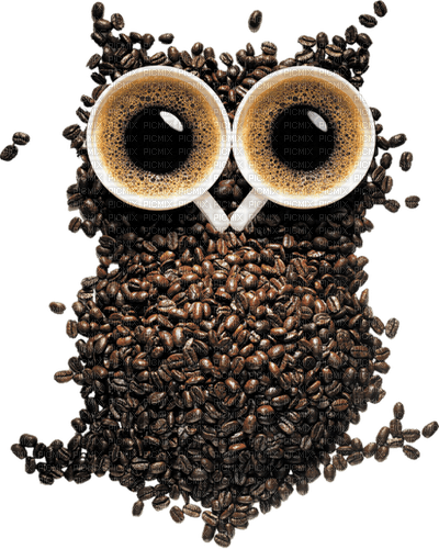 Kaz_Creations Coffee - kostenlos png