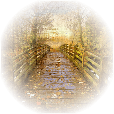 autumn bridge leaves automne paysage - gratis png